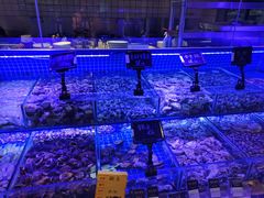 -渔民船说·北塘海鲜·天津菜·海肠捞饭(北塘古镇店)