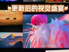 -罗红摄影艺术馆