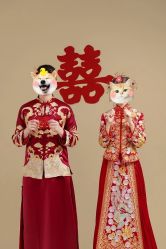 点击看大图 -金夫人婚纱摄影(华南店)
