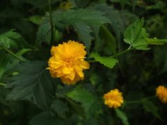 -青岛崂山太清宫