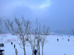 -大秃顶子山(雪谷店)