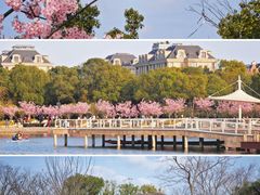 -新江湾城公园