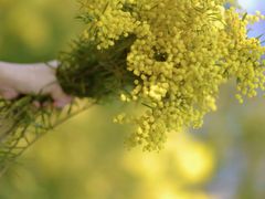 -厦门国家会计学院