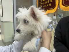 -美美宠物诊疗中心·异宠·骨科(滨江东信分院)