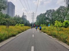 -沈阳奥林匹克体育中心