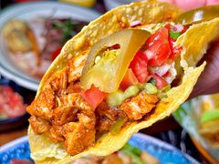 -Famous肥猫墨西哥音乐餐吧(五棵松华熙LIVE店)