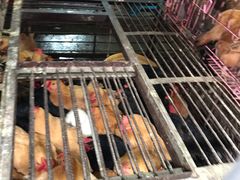 -树木岭集贸市场(劳动东路)