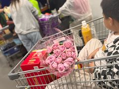 -山姆会员商店(亦庄创意生活广场店)