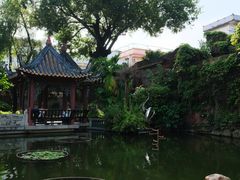 -碧江金楼