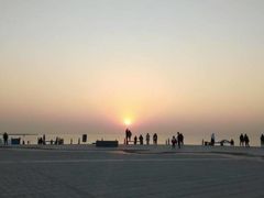 -渡海小渔村.老辈日照菜