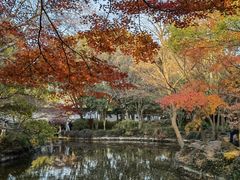-秋霞圃