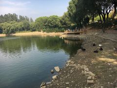 -石家庄市动物园