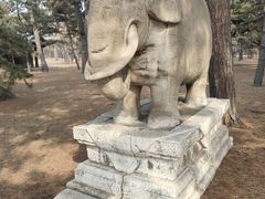 -北陵公园
