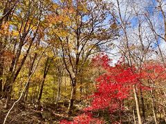 -丹东天桥沟景区