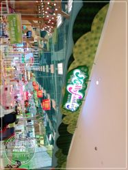 -莫莉幻想儿童乐园(武汉保利广场店)