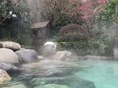 -青城道汤池