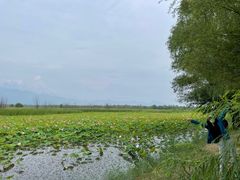 -野鸭湖国家湿地公园