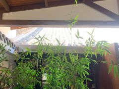 -广益饭店·云南菜·传统滇菜(翠湖北门书屋店)