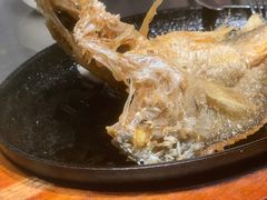 潮煎黄花鱼-潮界(虹桥新天地店)