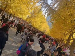 -辽宁大学(崇山校区)