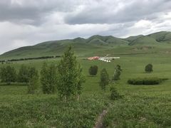 -乌兰布统草原