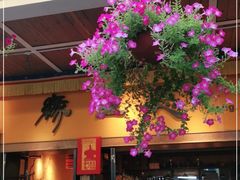 -缘生态云南菜·野生菌庭院餐厅(华侨城店)