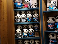 -熊猫屋(宽窄巷子景区店)