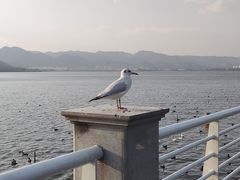 -海埂大坝