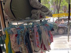 -米苏动物医院·犬猫专科·骨科外科内窥镜