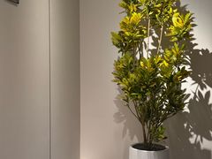-W·24H茶楼·棋牌·掼蛋(望京店)