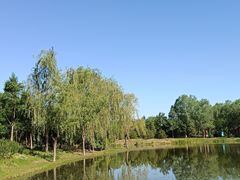 -东郊湿地公园