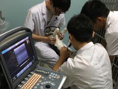 -中农大我爱我爱24h动物医院·中医针灸·猫专科·骨科医疗中心(双井店)