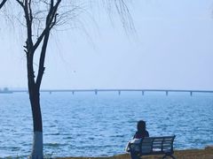 -漕湖湿地公园