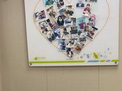 -瑞鹏宠物医院·骨外科·心肾科·肿瘤科(九亭店)
