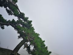 景点-天柱山风景区