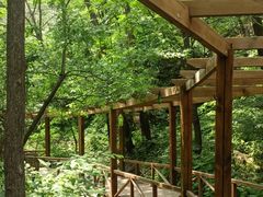 -大岭沟猕猴桃谷风景区