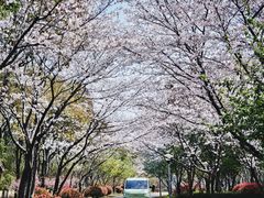 -尚贤河湿地