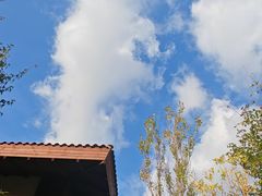 -大连金石滩绿发温泉假日酒店