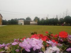 -洪湖家庭农场·团建·露营·会议