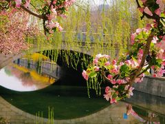 -海棠花溪(元大都城垣遗址公园)