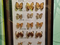 -蝴蝶泉公园