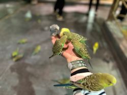 -酷嗒动物文化乐园(cutezoo西溪乐天城店)