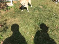 -杭州六谷生态休闲农庄有限公司