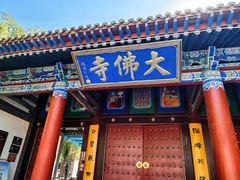 -张掖大佛寺景区