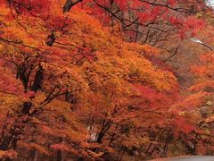 -丹东天桥沟景区