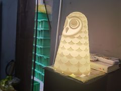 -猫头鹰炸鸡