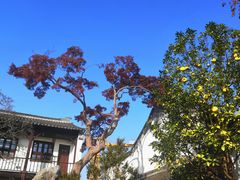 -沧浪亭