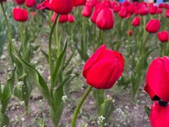 -长春公园(普阳街道)