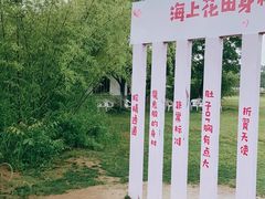 -杭州湾海上花田景区