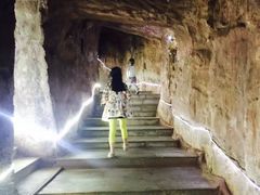 -中国西峡恐龙遗迹园